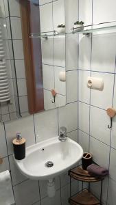 Un baño de Noclegi Barbara Pietraszek