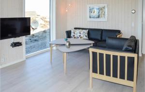 Μια τηλεόραση ή/και κέντρο ψυχαγωγίας στο Holiday Home Ringkøbing With A Fireplace 02 +16 φωτογραφίες