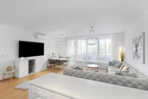 Televízia a/alebo spoločenská miestnosť v ubytovaní Apartment Puma v centre Piešťan + 20 fotografií