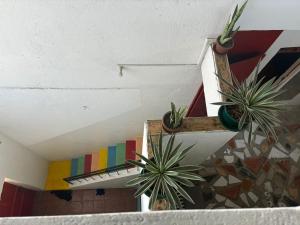 프라이아에 위치한 Casa Cisalta N3 - Quarto 5mn CENTER CITY에서 갤러리에 업로드한 사진