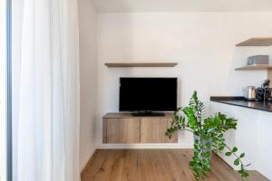 カルダーロにあるApartment Mendelbahnのリビングルーム(薄型テレビ付)