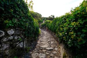 a stone path through a hedge lined alley at Aldeia da Cuada in Faja Grande