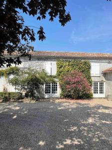 a white house with ivy on the side of it at Maison 8 pers, piscine, au cœur du pays de Cognac in Malaville