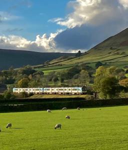 a train in a green field with sheep grazing at DUNELM COTTAGE - Three Bed Cottage in the heart of the Peak District in Edale