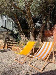 ル・リュックにあるChalet Provençal au cœur du Varの木の横に座る芝生の椅子2脚