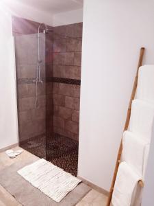 a shower with a glass door in a bathroom at La Régate du Plaisir- Jacuzzi privé, Plage à 900m in Houlgate +19 photos