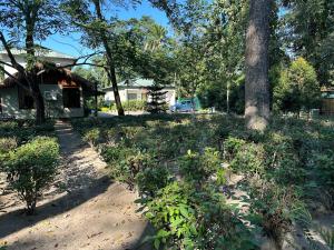 Gallery image of Jungleciti House, Kaziranga National Park in Kāziranga +119 photos