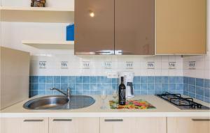 Kuchyň nebo kuchyňský kout v ubytování Holiday Home Valbandon I