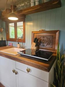 a laptop on a counter in a kitchen at Cosy Cabin in Scharendijke +18 photos
