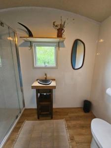 a bathroom with a sink and a toilet and a window at Cosy Cabin in Scharendijke