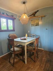 a dining room table with chairs and a light fixture at Cosy Cabin in Scharendijke