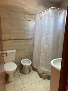 a bathroom with a toilet and a sink at ALOJAMIENTO NORTE 1 in Santiago del Estero