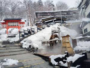Το Snowfall Meteor 飛雪流星 τον χειμώνα