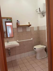 łazienka z toaletą i umywalką w obiekcie la casa di Frinky w mieście Ponte Galeria