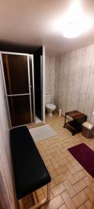 a bathroom with a shower and a toilet in it at plain-pied proche base de loisirs et voie verte in Saulxures-sur-Moselotte