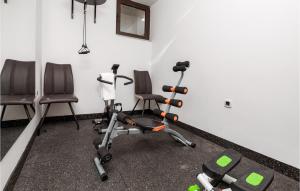 Fitness centrum a/nebo fitness zařízení v ubytování Lovely Home In Gabonjin With Kitchen