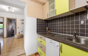Kuchyň nebo kuchyňský kout v ubytování Lovely Home In Gabonjin With Kitchen