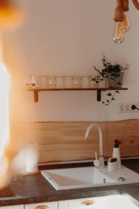 a kitchen with a sink and a counter top at Village Brăduțu in Dămuc