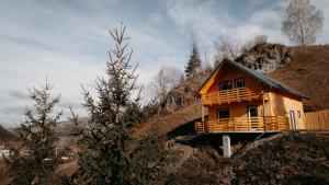 a small wooden house on a hill at Village Brăduțu in Dămuc