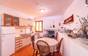 Kuchyň nebo kuchyňský kout v ubytování Holiday Home Prizba Bb