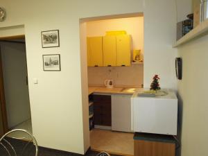 Kuchyňa alebo kuchynka v ubytovaní Apartman Flora