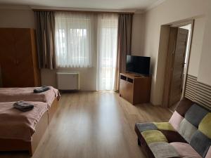 Televízia a/alebo spoločenská miestnosť v ubytovaní Brookforest Apartman