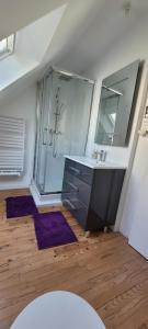 a bathroom with a sink and a mirror at maison cosy in Quimper +6 photos