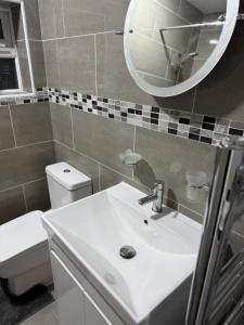 a bathroom with a sink and a mirror and a toilet at Cozy 3-Bedroom Home Perfect for Work & Leisure in Birmingham