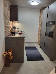 Dapur atau dapur kecil di Apartman Lujzijana