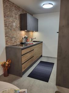Kuchyň nebo kuchyňský kout v ubytování Apartman Lujzijana + 20 fotografií