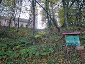 Taman di luar Apartman Lujzijana