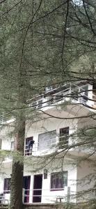 un edificio bianco con un albero di fronte di Himalayan Hostel, Triund Hill Trekking and Snowline Trekking, Waterfalls View Hostel a Dharamshala