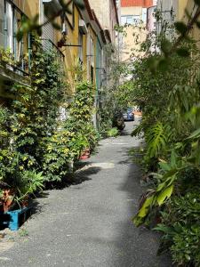 Η γειτονιά γύρω από ή μία γειτονιά κοντά σε αυτό το διαμέρισμα