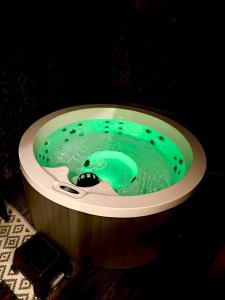 a jacuzzi tub with green water in it at Family house with garden & jacuzzi & sauna near Amsterdam in Vijfhuizen