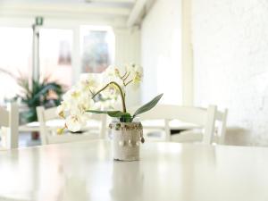 Fotografie z fotogalerie ubytování Hotel Butterfly v destinaci Torre del Lago Puccini