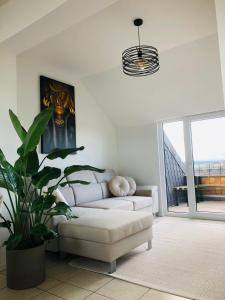 a living room with a white couch and a plant at Dom 007 in Fulda