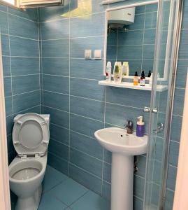 a blue tiled bathroom with a toilet and a sink at Malibu Apartments in Sutomore