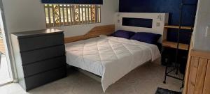 a bedroom with a bed with purple pillows and a window at Little Susie Family Room in Phnom Penh