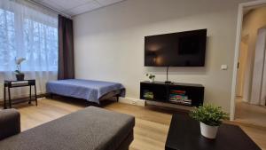 赖皮纳Räpina Guest Apartment的客厅的墙上配有平面电视。