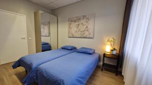 赖皮纳Räpina Guest Apartment的一间卧室配有两张蓝色的床和镜子