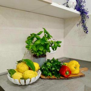 Gallery image of YourHome - Alisea Home in Nerano