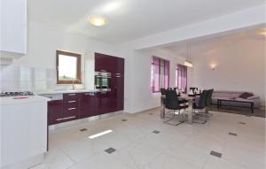 Kuchyň nebo kuchyňský kout v ubytování Pet Friendly Home In Sveti Kirin