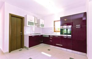 Kuchyň nebo kuchyňský kout v ubytování Pet Friendly Home In Sveti Kirin