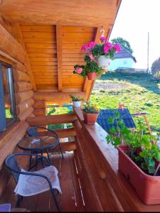 Gallery image of Cabana Colț De Munte in Oceale +26 photos