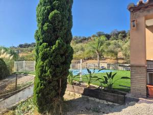 a large tree in front of a house with a pool at Spacious Villa with Pool in Pruna, 140 m² in Pruna