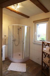 een badkamer met een douche met een glazen wand bij Ferienwohnungen Zierzow in Zierzow
