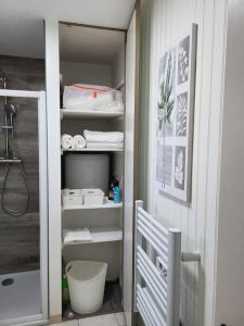 a bathroom with a walk in closet with a shower at Appartement cosy dans une maison Proche Mett Tram in Beauzelle