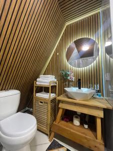 a bathroom with a toilet and a sink at Eywa House in Kamenskoye Plato