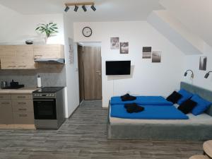 Kuchyň nebo kuchyňský kout v ubytování Apartmán Pod Hrází Chráštany