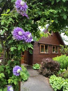 a tree with purple flowers in front of a house at Fern Lodge. Drumcoura Lake Resort, in Ballinamore